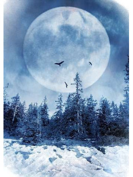 Affiche Nature poetry