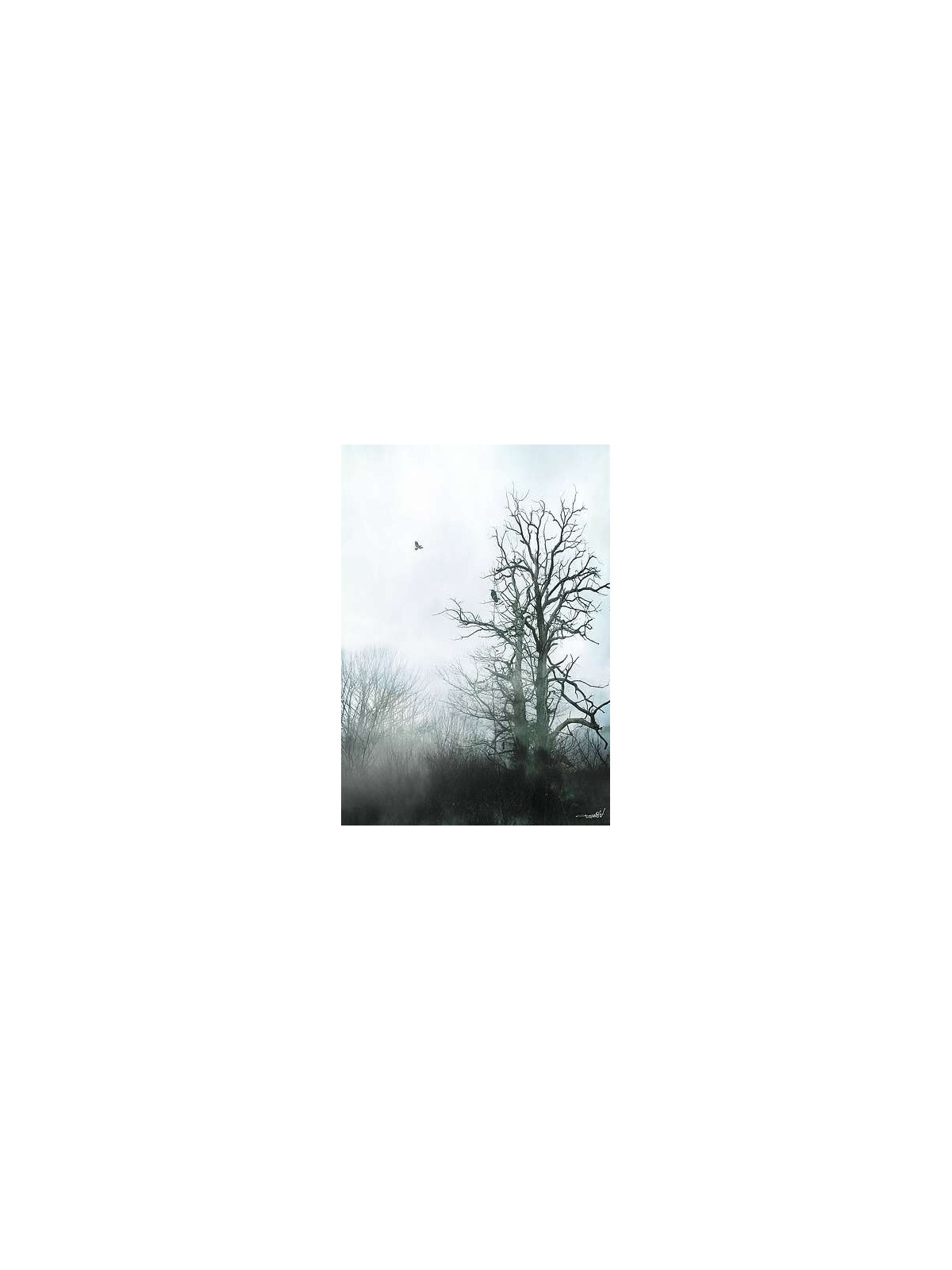 Affiche Winter call