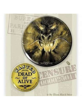 Badges duo Houdini