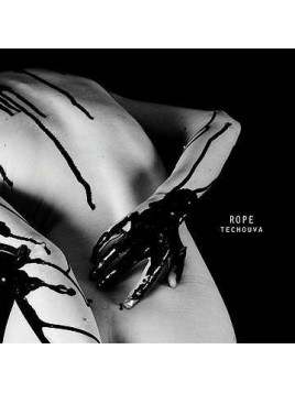 Techouva (Ltd edition CD)