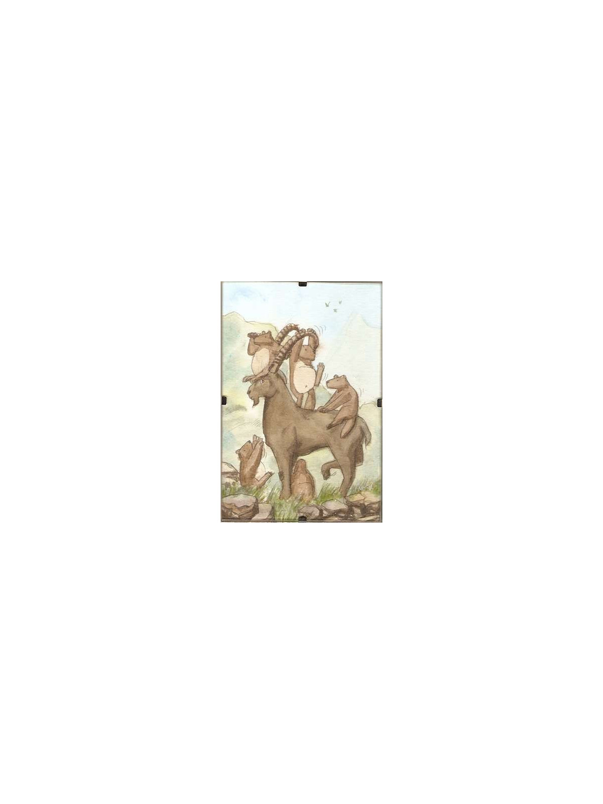 Cadre Marmottes et bouquetin