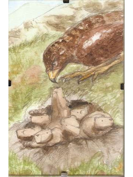 Cadre Marmottes et aigle