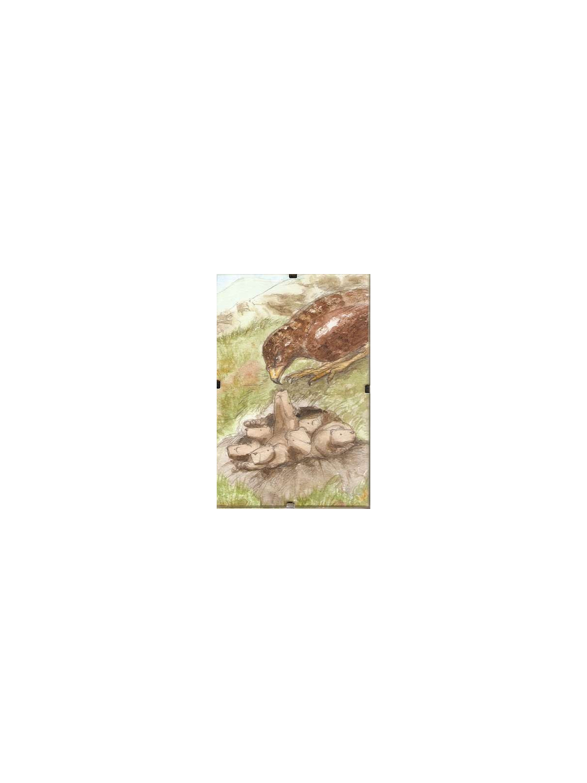 Cadre Marmottes et aigle