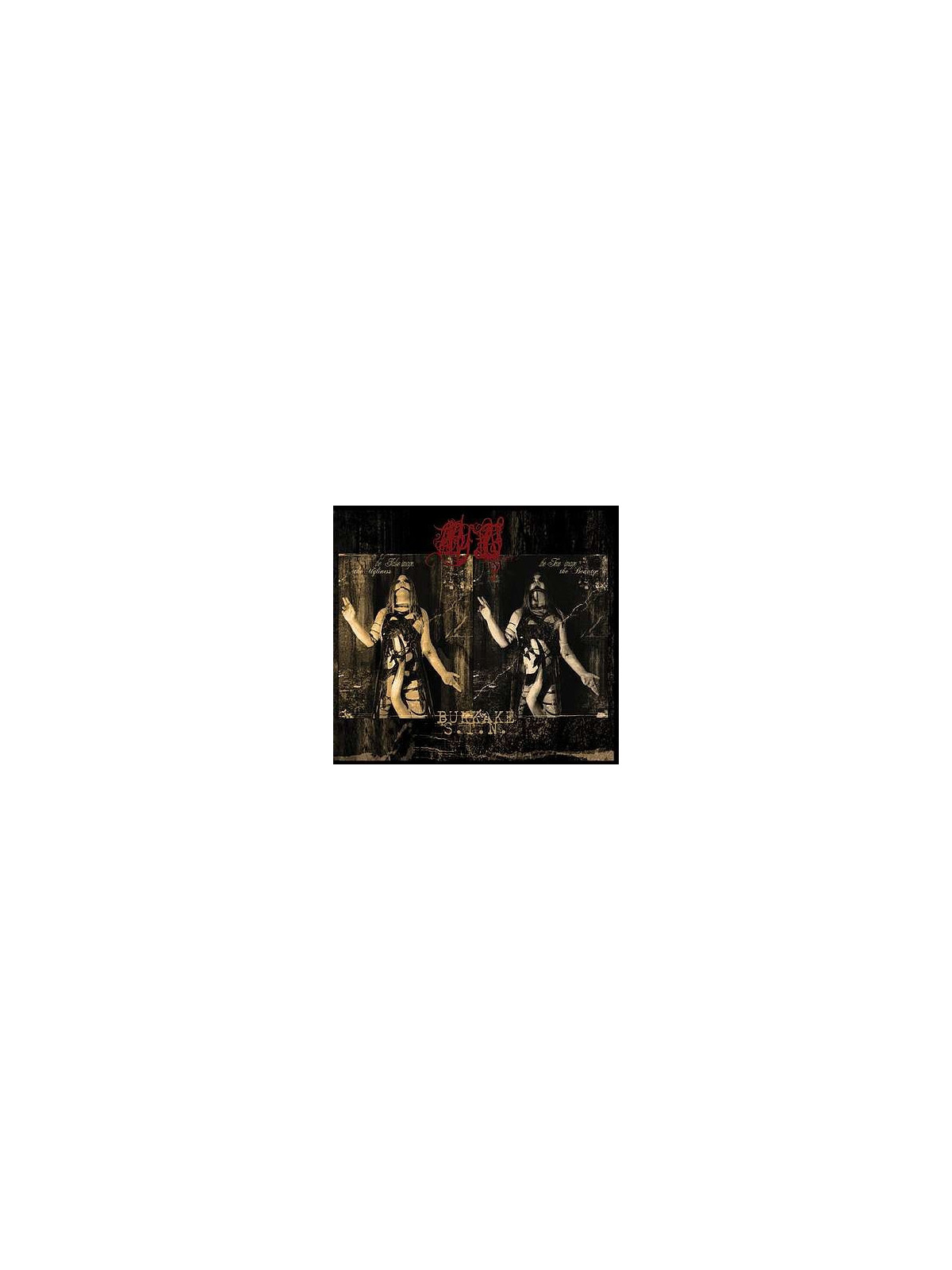 Bukkake S.T.N. (Ltd edition CDr)