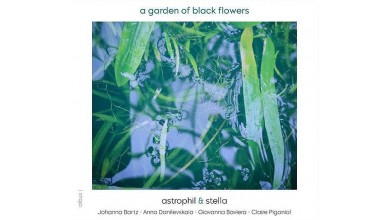 Arrivage de disques neufs